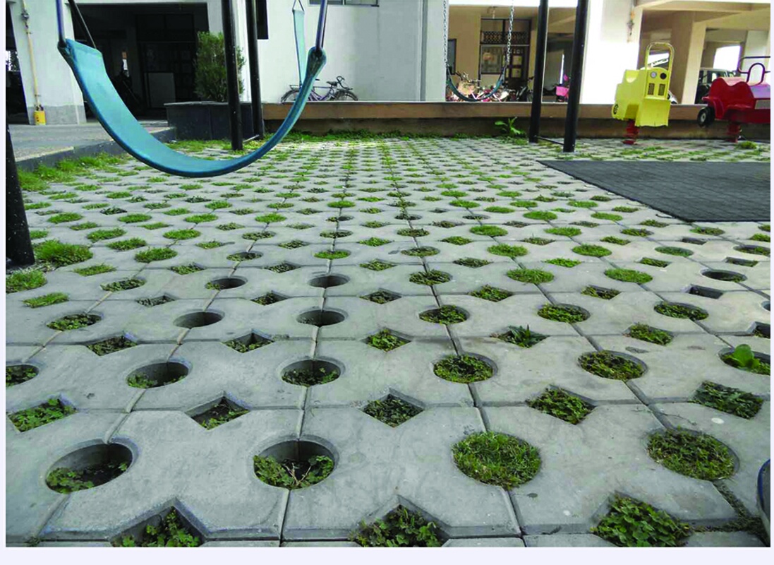 Rubbermold Pavers 6